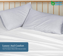 Royale Linens 400 Thread Count 100% American Grown Cotton Pillowcase Set - Luxury Sateen Pillow case - 20"x30" Inch - Soft & Smooth Set of 2 Silver Pillowcases - (Spanish Silver)