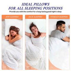 ROYALE LINENS Pillows Size Set of 2 - Bed Pillows for Sleeping - Piping Pillow for Back, Stomach or Side Sleepers - Down Alternative Pillows - Soft Hotel Quality (Pack of 2)