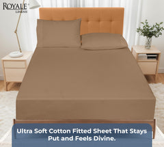 200TC cotton fitted sheet chocolate