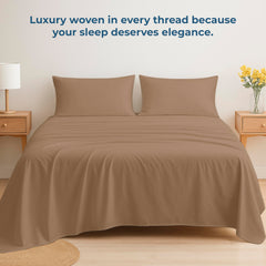 200TC cotton flat sheet Chocolate - image 6