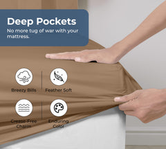 200TC cotton fitted sheet chocolate