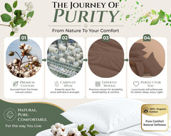 144TC cotton pillowcases Chocolate