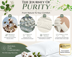 144TC cotton pillowcases Ivory