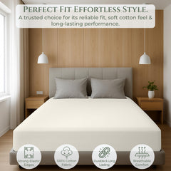 144TC cotton fitted sheet Ivory