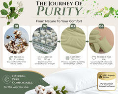 144TC cotton pillowcases Sage Green