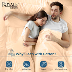 200TC cotton flat sheet Sand - image 3