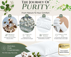 144TC cotton pillowcases White