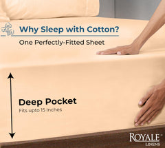 200TC cotton fitted sheet sand