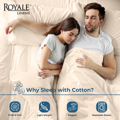 200TC cotton flat sheet Cream - image 3